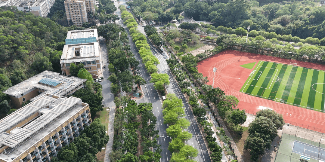 城市的“筑路先锋”